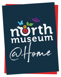 The North Museum