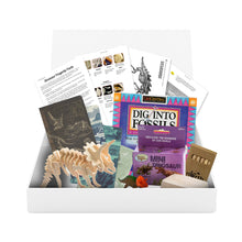 Load image into Gallery viewer, Dinosaurs STEM Box (Middle School)