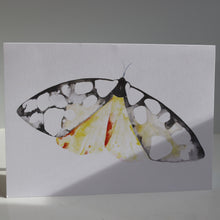 Load image into Gallery viewer, Butterflies of France Notecards by Heidy Sumei Chuang