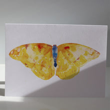 Load image into Gallery viewer, Butterflies of France Notecards by Heidy Sumei Chuang