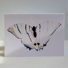 Load image into Gallery viewer, Butterflies of France Notecards by Heidy Sumei Chuang