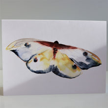 Load image into Gallery viewer, Butterflies of France Notecards by Heidy Sumei Chuang