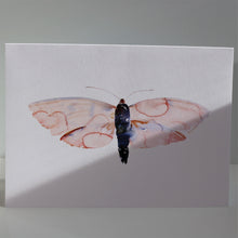 Load image into Gallery viewer, Butterflies of France Notecards by Heidy Sumei Chuang