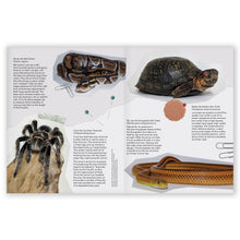 Load image into Gallery viewer, Preorder: The Curious Creatures of the Live Animal Room