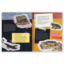 Load image into Gallery viewer, Preorder: The Curious Creatures of the Live Animal Room