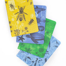 Load image into Gallery viewer, Nature STEM Box (Middle School)