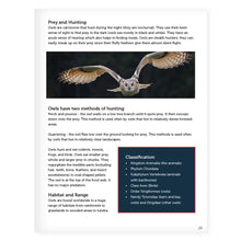 Load image into Gallery viewer, STEM Learning Activity Pack - Nature (K-4)