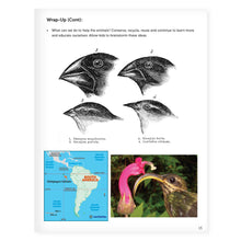 Load image into Gallery viewer, STEM Learning Activity Pack - Nature (Middle School)