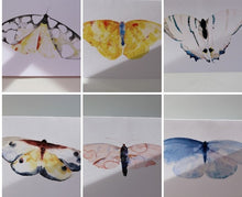 Load image into Gallery viewer, Butterflies of France Notecards by Heidy Sumei Chuang