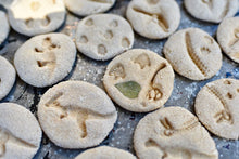 Load image into Gallery viewer, Dinosaurs STEM Box (Pre-K)