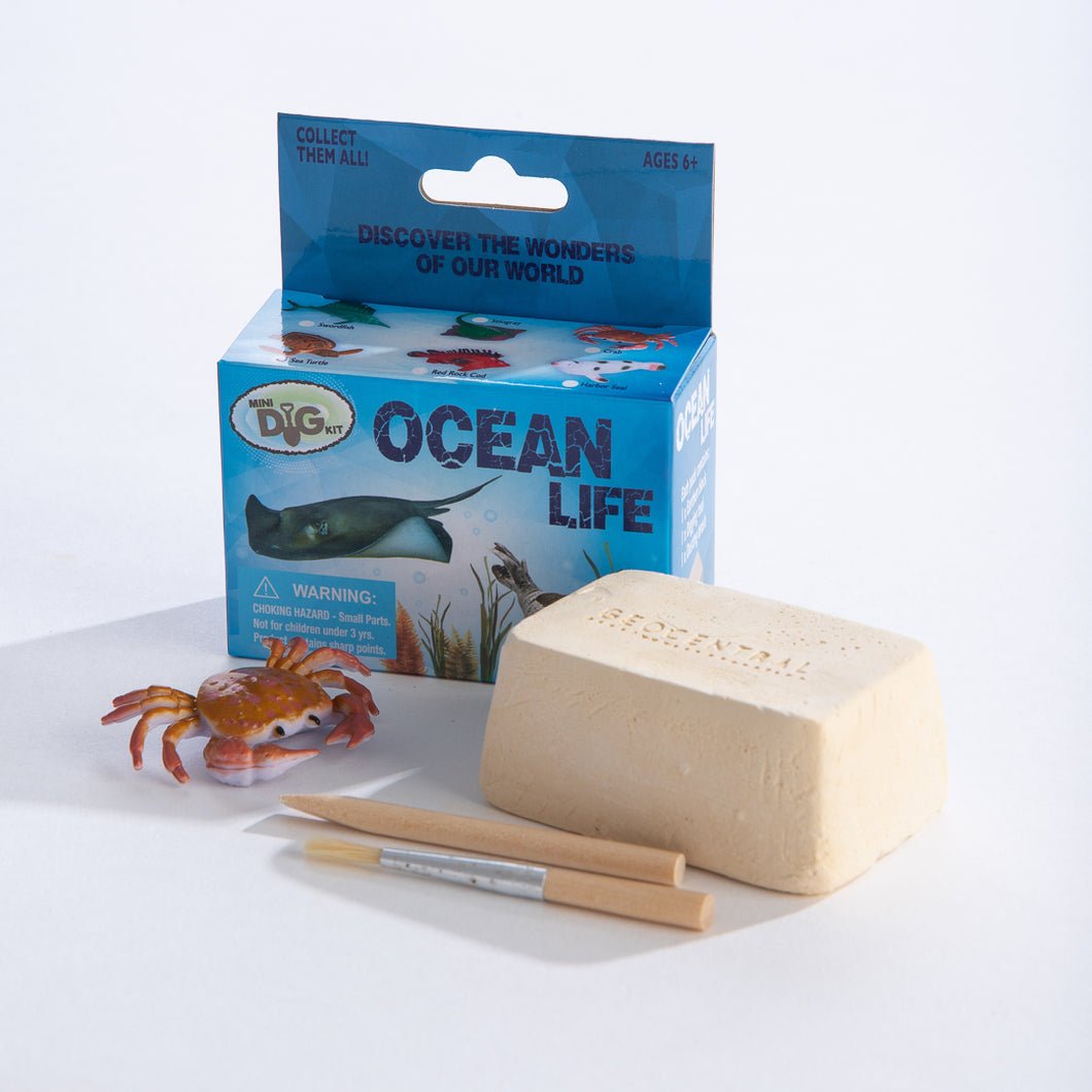 Mini Excavation Kit: Ocean Life