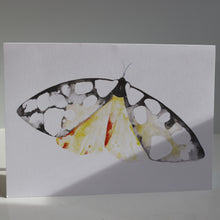 Load image into Gallery viewer, Butterflies of France Notecards by Heidy Sumei Chuang
