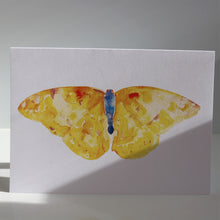 Load image into Gallery viewer, Butterflies of France Notecards by Heidy Sumei Chuang
