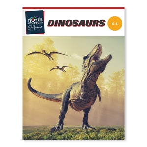 STEM Learning Activity Pack - Dinosaurs (K-4)