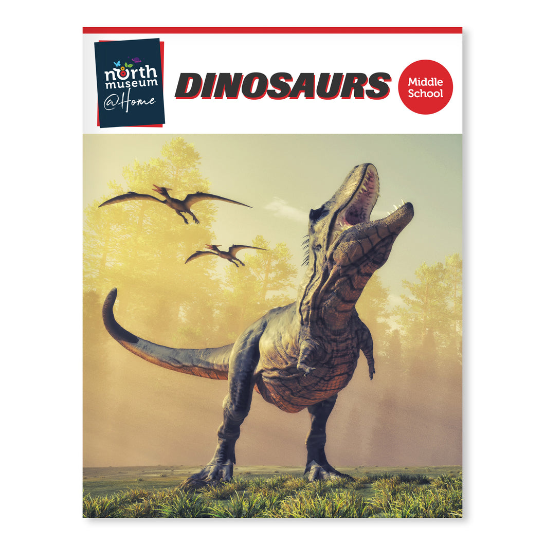 STEM Learning Activity Pack - Dinosaurs (Middle School)
