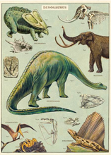 Load image into Gallery viewer, Natural History Posters
