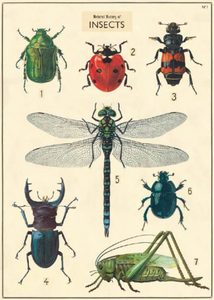 Natural History Posters