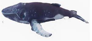Plush Humpback Whale