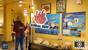 Virtual Tour: Coral Reef, Lego Lab & Nanotechnology